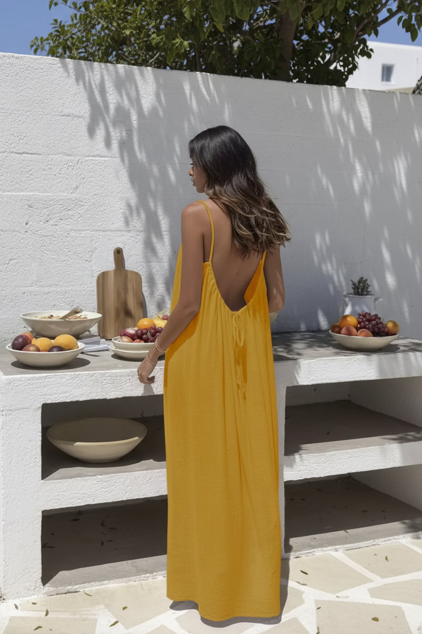 Cristina Meloni - vestido longo